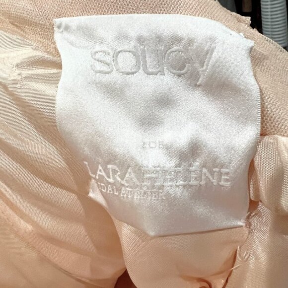 Soucy for Lara Helene Blush Formal Strapless Ball Gown $995 - Picture 11 of 12
